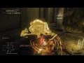 Lightning Monkey King flawlessly slays Godfrey Golden Shade no summons Elden Ring Cosplay