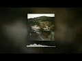 Evan Honer - if you wanna know