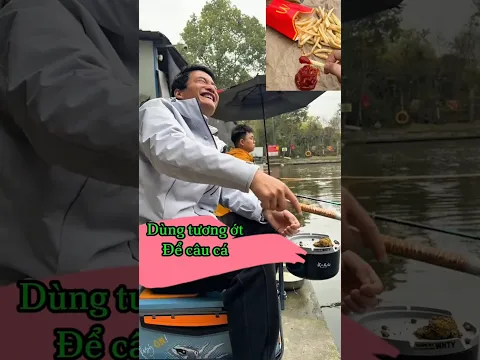 Nay dùng tương ớt và khoai tây chiên câu cá nhé #cauca #caucagiaitri #caucatunhien #caucatunhien