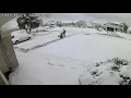 Mail Carrier Hitting my Mailbox