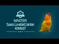 Lagu MASTER Lovebird Jantan Konslet