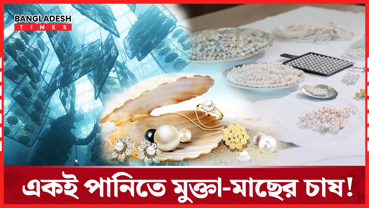 মিঠা পানিতে মুক্তার সঙ্গে মাছ চাষ, যুগান্তকারী উদ্ভাবন!