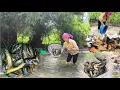 Download Lagu Single mother uses a fishing net to catch fish in streams and takes good care of her pets.