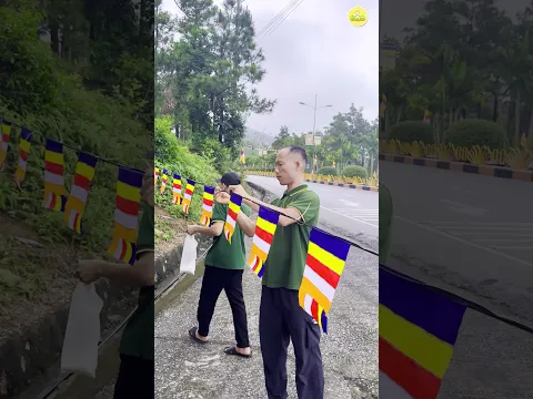 Rộn ràng niềm vui đón mừng Phật đản #thaythichtructhaiminh