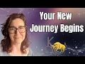 Chiron In Taurus A New Journey Begins June 19 2026