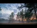 Download Lagu Aconex - Eternity | ♫ Copyright Free Music