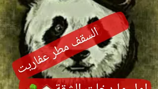 حالة واتس   علي مهرجان فاتحة الزنزانة دندنها