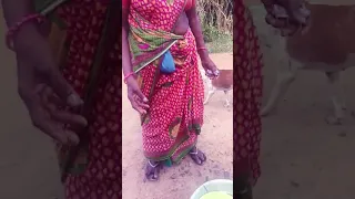 August 10 2025  August 10 2025