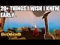 Everwind Essential Tips and Tricks