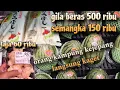 Download Lagu HARGA BAHAN POKOK DI JEPANG MAHAL , pemula pasti kaget