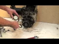 oil burner pump pressure test