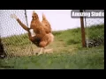 Funny GIFs 17