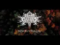 Download Lagu FIRES IN THE DISTANCE - WISDOM OF THE FALLING LEAVES (OFFICIAL VIDEO)