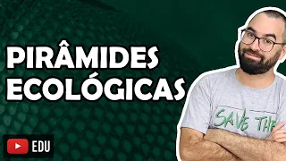 Pirâmides ecológicas - Aula 04 - Módulo VIII: Ecologia | Prof. Gui