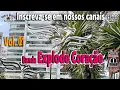 Banda Explode Coração - Acompanha Sucesso