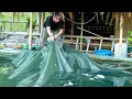 Download Lagu Fish Trapping, Wild Foraging, Catch and Cook: River Survival | EP.478