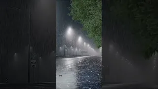 هدوء و راحة نفسية صوت المطر للاسترخاء صوت الطبيعة صوت الماء لغسل الهموم 