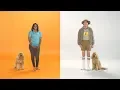 Dogtopia Daycare What Dogs Want