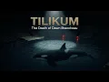 Tilikum the Killer The Death of Dawn Brancheau