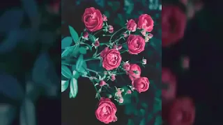 دعوني اناجي مولا جليلا مشاري بن راشد العفاسي 