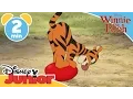 Download Lagu The Mini Adventures of Winnie the Pooh | Tigger's Balloon | @disneykids
