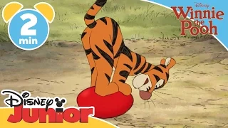 The Mini Adventures Of Winnie The Pooh Tigger S Balloon Disneykids 