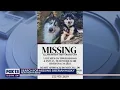 Search for missing Siberian husky