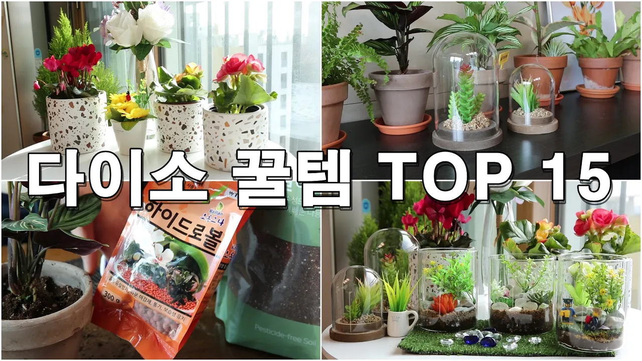 다이소 꿀템 TOP 15! 가성비좋은 홈가드닝 추천템! 다이소제품으로 플랜테리어 도전!