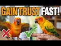 How to Gain Conure Trust Stop Biting Build a Strong Bond