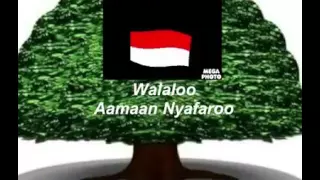 Abjuu Wagga Dhibaa Walaloo Artst Amaan Nyafaroo  Abjuu Wagga Dhibaa Walaloo Artst Amaan Nyafaroo