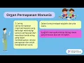 Download Lagu Sistem Pernapasan Manusia-Organ Pernapasan