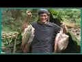 Download Lagu Jungle Survival: Harvesting Fish from the Stream and Drying Them for Future Use
