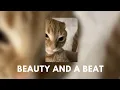 Download Lagu beauty and a beat - nicki minaj ft. justin bieber (sped up)