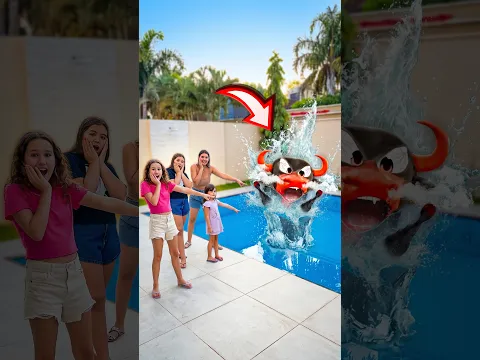 Boi da cara preta
