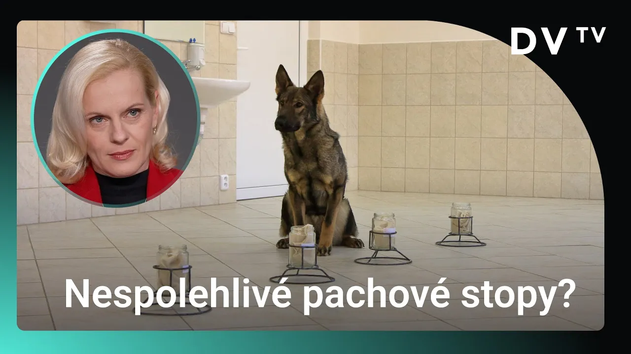 Pachové stopy jako důkaz? Tristní výsledky blízké náhodě, tutlali to, je to závažné, říká expertka