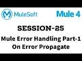 MuleSoft Mule ESB 4 Session 25 Mule Error Handling part-1 On error propagate