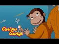George Explores the Ocean Curious George Kids Cartoon Kids Movies