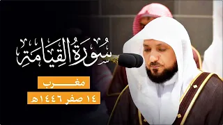 بعد غياب يعود الشيخ د ماهر المعيقلي محبرا سورة القيامة بأداء منقطع النظير مغرب الأحد ١٤ ٢ ١٤٤٦هـ 
