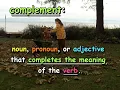 What is a Subjective Complement How do we use them