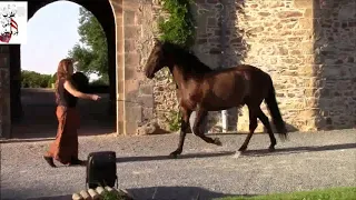 أم كلثوم أنت يا جنة حبي وإشتياقي وجنوني مقطع من اغدا ألقاك صفحة دودو يوتيوب 