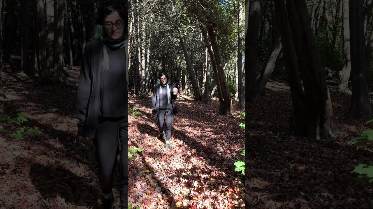 Crunching Walk Through a Forest