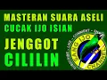 Download Lagu MASTERAN SUARA ASELI CUCAK IJO ISIAN CUCAK JENGGOT \u0026 CILILIN