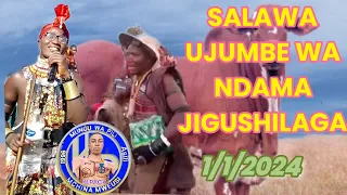 salawa nyangumi 4k wa ndama jigushilaga 1 1 2024 0742941972 msambazaji mungu wa pili