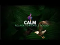 Download Lagu Relaxation from eagle sound one hour | Relaksasi suara burung elang 1 jam