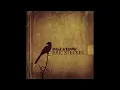 Eric Steckel | "I Don't Mind"