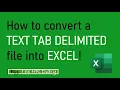 How to convert a TEXT TAB DELIMITED file into EXCEL