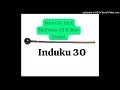 Download Lagu Man Giv SA x MrPrince DJ \u0026 Rise Teanet - induku 30