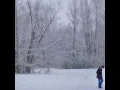 The Ice Storm