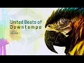 Download Lagu Solar Powered Beings - Somewhere Inbetween - Official