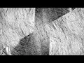 HVOB - Lion (Stimming Remix) | Official Video
